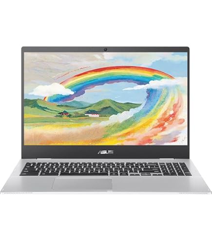 Amazon.com: Asus Chromebook C423NA, 14