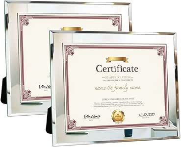 Amazon.com: Amazing Roo 8.5x11 Document Frames 2 Pack Mirror Glass