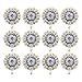MarryAcc Berry Conchos with Screws Metal Flower Rhinestone Conchos 12 Pieces (Color 10)