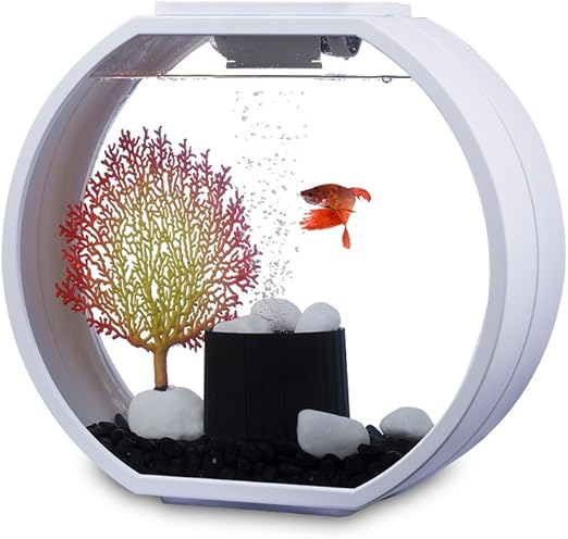 best anti scratch spray for cats