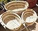 ShopOnNet RT450130-3 Handwoven Wicker Storage Basket Curve Pole Handle in Dual Brown and Sand (Set of 3)