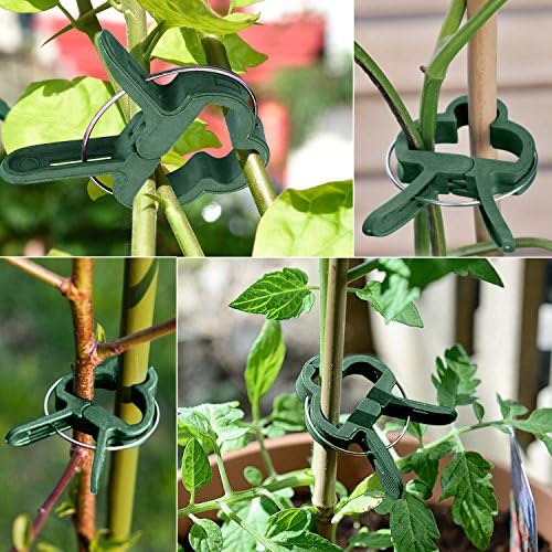 Clips para Plantas de jardín 60 pcs - Mopalwin flor clips ...