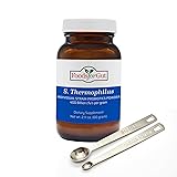Foods For Gut Streptococcus Thermophilus Probiotic