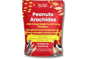 Chirp & Maple No Shell Peanuts for Birds – Premium Unsalted Raw Peanut Kernels | High Protein Wild Bird Food | Attracts Blue 