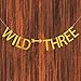 Selina.S Wild Three Banner, 3rd Birthday Party Decorating Sign Gold Gilter Hanging Bunting