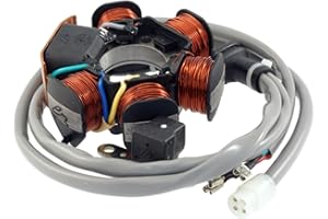 RIDE AND CUSTOM Stator Compatible with Gilera Runner 50 1997-2000