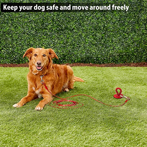 30 Ft Dog Tie Out Cable and Stake Heavy Dog Yard Leash and Stake for