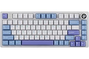 EPOMAKER x LEOBOG Hi75 Aluminum Alloy Wired Mechanical Keyboard, Programmable Gasket-Mounted Gaming Keyboard with Mode-Switching Knob, Hot Swappable, NKRO, RGB (White Purple, Ice Cyan Switch)