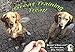 Bandit's Biscuits All Natural Healthy Grain Free Dog Treats Blueberry 10oz Dog Biscuits Made in The USA Only
