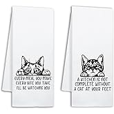 NAHMAKNE Funny Black Cat Kitchen Towels Set of 2, Every Meal You Make Every Bite You Take, Decorative Dish Towels for Kitchen, Pet Lover Gifts, Housewarming Gifts for Women Hostess Cat Mom Friend