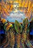 Hardcover Drinking Lightning: Art, Creativity, and Transformation Book