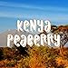 Kenya Peaberry Coffee, Whole Bean, Single Origin, Fresh Roasted, 16-ounce