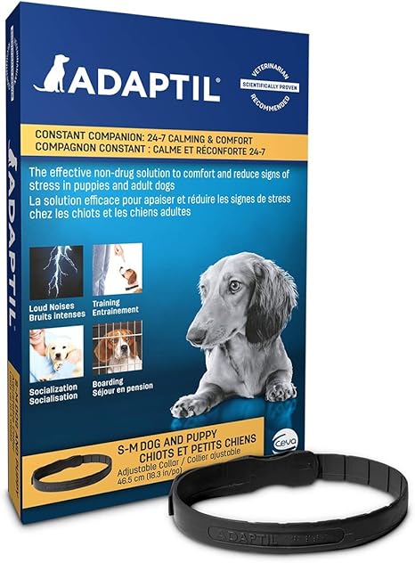 dap pheromone collar