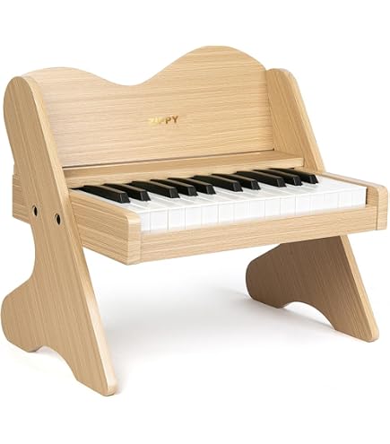 Amazon.com: ZIPPY Kids Piano Keyboard, 25 Keys Digital Piano for