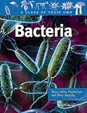 Bacteria: Staph, Strep, Clostridium, and Other Bacteria (Class of Their Own (Paperback))