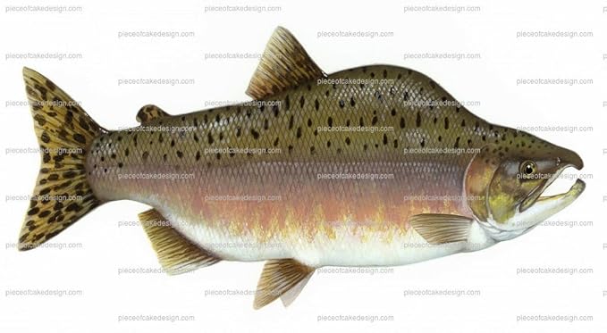 images Pink Salmon Fish Images 8 pink salmon fish birthday edible