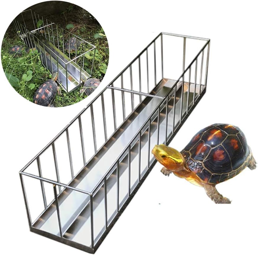 dental chew sticks for dogs