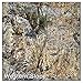 Eberlestock Mini Me Hydro Pack (Hide-Open Western Slope)