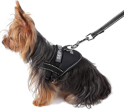puppy chest harness