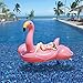 MWShop 4-5 People Inflatable Flamingo Biggest Giant Flamingo Ride On Solstice Swimming Pool Float 4 Recessed Cup Holders To Hold Your Drinks Constructed Of Heavy-Duty PVC Vinyl Pink
