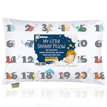 Amazon Com Toddler Pillow With Pillowcase 13x18 Soft Organic