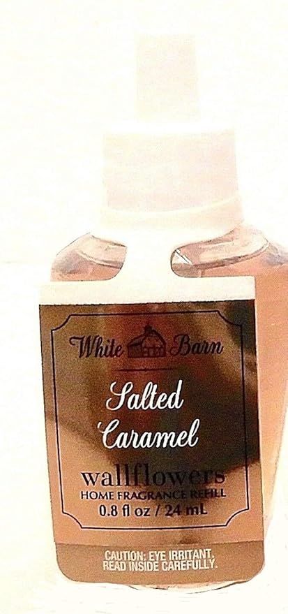 Amazon Com Bath Body Works Salted Caramel Wallflower Refill