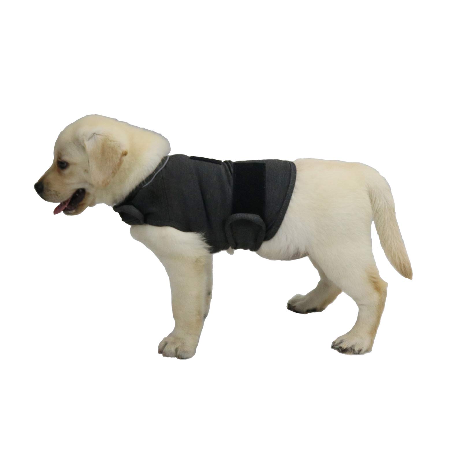 Photo 1 of cattamao Comfort Dog Anxiety Relief Coat, Dog Anxiety Calming Vest Wrap for Thunderstorm,Travel,4th of July Fireworks,Vet Visits,Separation Anxiety Relief for Dogs (Small (Pack of 1), Gray)