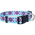 Native Pup Western Dog Collar, Cute Designer Aztec Tribal Pattern, Male Female (Small, Turquoise)