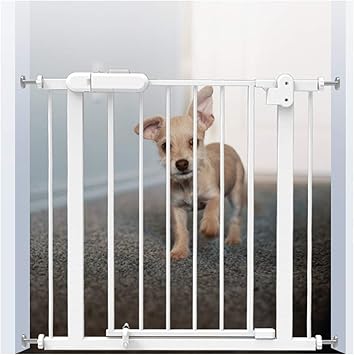 dog stair gate amazon