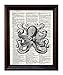 Fresh Prints of CT Dictionary Art Print - Octopus - Printed on Recycled Vintage Dictionary Paper - 8