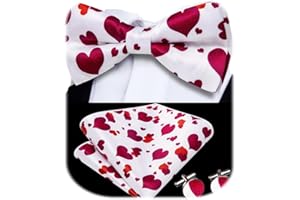 Dubulle Mens Pre-tied Bowtie and Pocket Square Set Paisley/Striped/Checks Bowties for Men