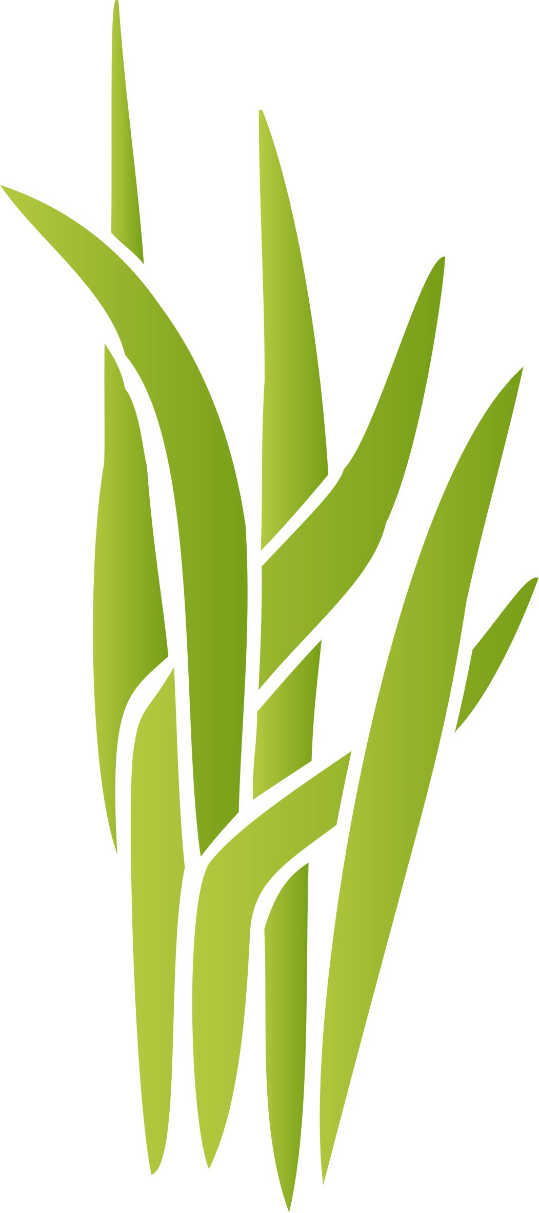 Marsh Grass Stencil - 11.5 x 25.5cm (S) - Reusable Large Sedge Reeds Baby Childs Nursery Wall Stencil Template