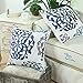 CaliTime Throw Pillow Cases Pack of 2 Cotton Vintage Compass Geometric Floral Embroidered Decorative Cushion Covers for Couch Bed Sofa Farmhouse Decoration 18 X 18 Inches Blue Gray