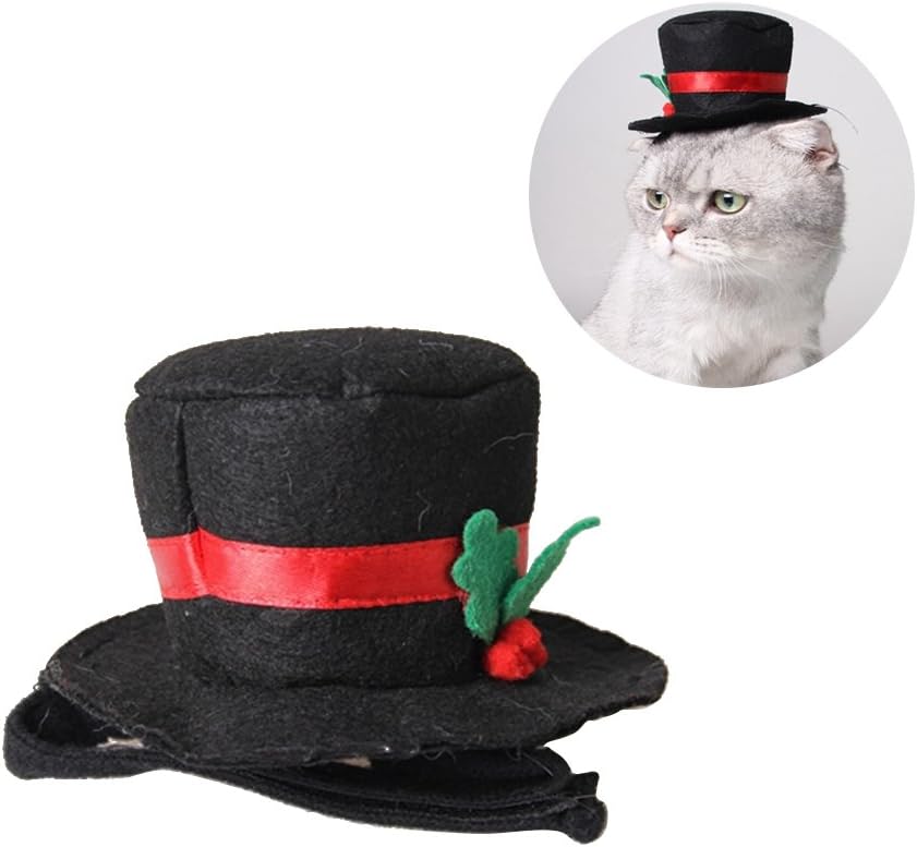 cat top hat