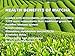 Uji Matcha - Japanese Green Tea Powder Organic - All-purpose Premium Culinary Grade - Kyoto Japan - Vegan, Gluten-free, Antioxidants, Weight Loss - Ideal for Baking, Smoothies, Latte, Iced - 60g Tin