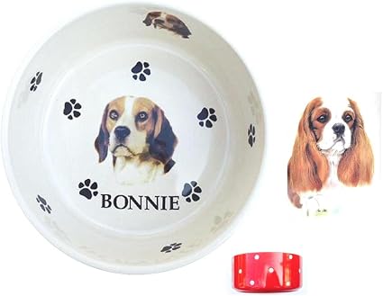 Bb17 En Céramique Personnalisé Blenheim Cavalier King