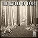 The Nature Of Trees - Photography By Paul Kozal 2018 Wall Calendar (CA0148)