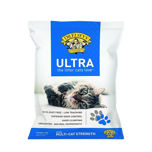 Precious Cat Clumping Litter Precious Cat Clumping Litter
