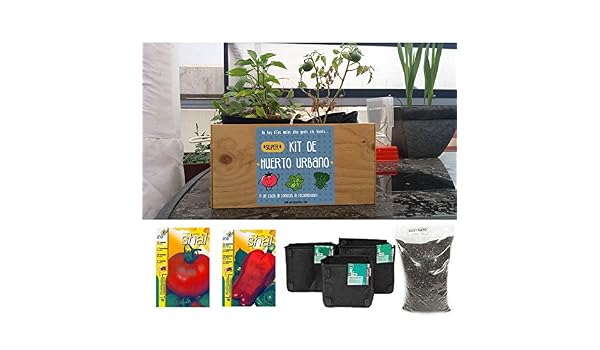Kit de huerto urbano. Tomate y pimiento: Amazon.es: Jardín