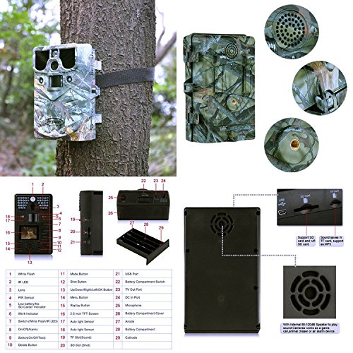 Trail Camera 12MP 1080P HD Waterproof IP66 Infrared Night Vision IR LED Game and Trail Hunting Scouting Camera with Game Call Function for Cold Blooded Animals Surveillance Camera
