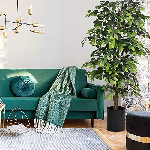 61nlOgiFy8L 61nlOgiFy8L