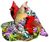 Spring Cardinals Shaped 800 Pc Jigsaw Puzzle by SunsOut