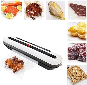 BIYLL Vacuum Sealer Machine Food Sealer for Food Savers 10 Sealing Bags with Up to 40 Consecutive Seals, Dry & Moist Modes, Compact Design (Silver) 220V 80W