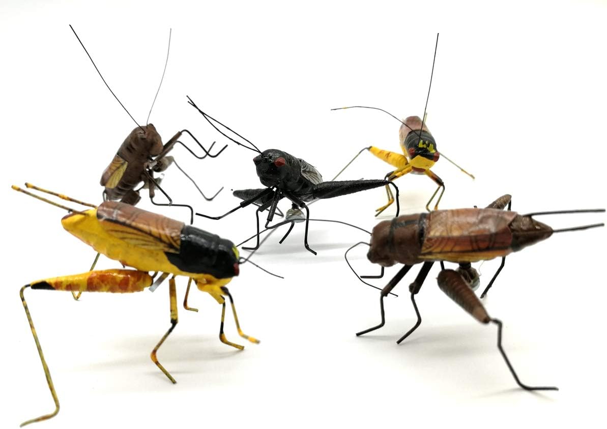 lwingflyer 5pcs Insect Ornament Cricket Fridge Magnet Animal Miniature Outdoor Garden Lawn Tree Decoration Mixed Color