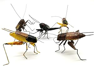 lwingflyer 5pcs Insect Ornament Cricket Fridge Magnet Animal Miniature Outdoor Garden Lawn Tree Decoration Mixed Color