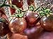 Organic Black Cherry Tomato Seeds: Non-GMO, Certified Organic Heirloom Seed Packet