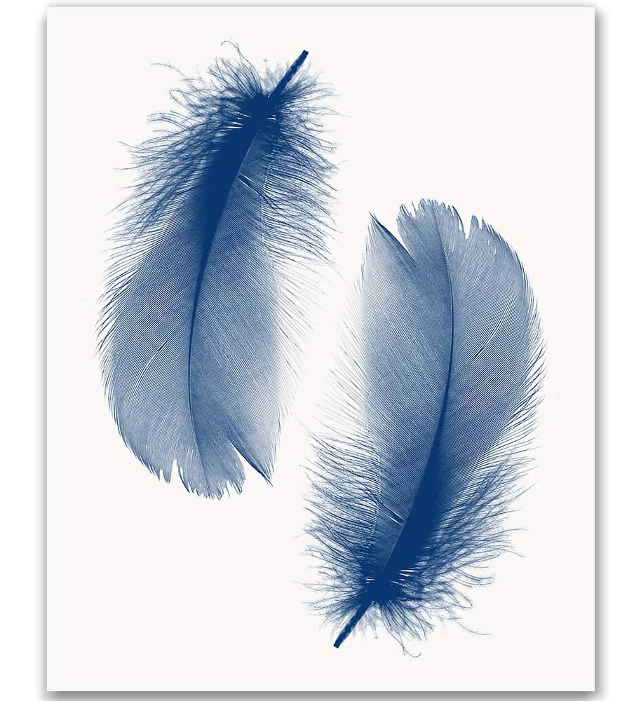 Feather Print, Feather Art, Navy Feather Print, Feather Wall Art, Navy