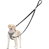 PetBonus Two Point Control Dog Leash, No Tangle Training Walking Leashes | Soft Padded Handle, Reflective, Works with No Pull Harnesses, Converts to Single Lead for Medium Large Dogs, Black