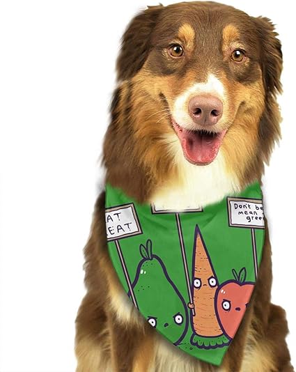 Hipiyoled Protéger Les Végétaliens Légumes Rigolos Signes De