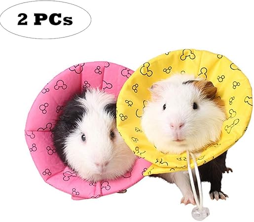 soft e collar for rabbits